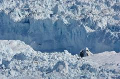 James Balog, Chasing Ice, 2012. Video. © 2016 Chasing Inc., LLC