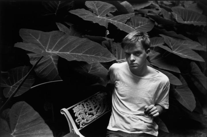 A blonde man looking mysteriously at the camera in the middle of the forest.