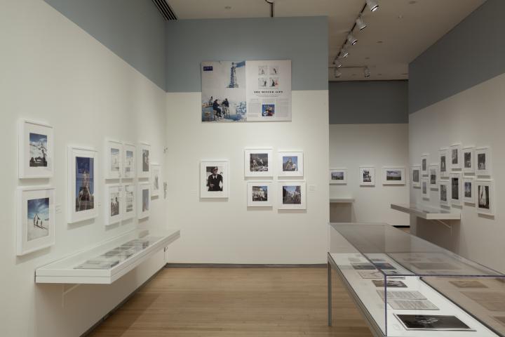 An exhibition of human profiles. 